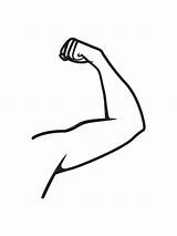Minimal Arm Coloring Page Simple Body Parts Preschool Resources  sketch template