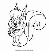 Coloring Book Children Cute Squirrel Acorn Stock Vector Royalty Free  sketch template