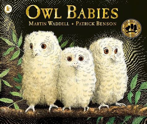 Kids' Book Review: Review: Owl Babies