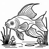 Goldfish Swimming In Water coloring Page Lulu Pages sketch template
