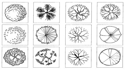 Assorted plants sketch collage, Landscape architecture Landscape design Architectural plan ...