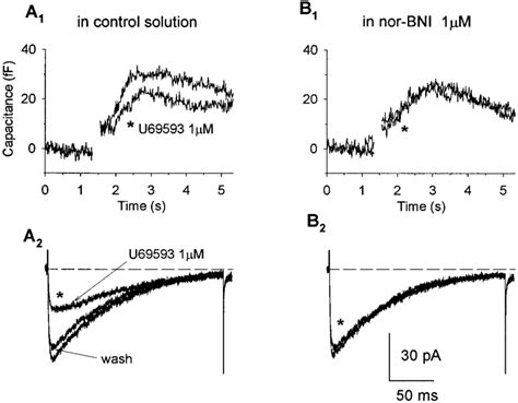 Activation of -opioid receptors attenuates depolarization-evoked ...