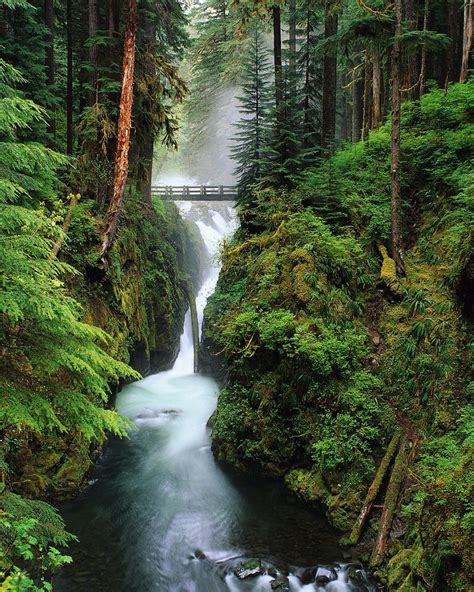 Olympic National Park Sol Duc Falls, Washington | National parks, Olympic national park ...