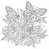 Printable Coloring Pages Flowers And Erflies  Infoupdateorg sketch template