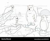 Free Arctic Animals Coloring Pages sketch template