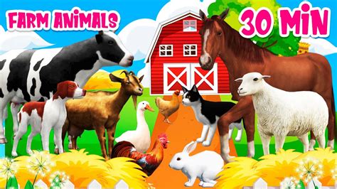 Farm animal sounds Farm animals for kids Learn Farm animals - YouTube