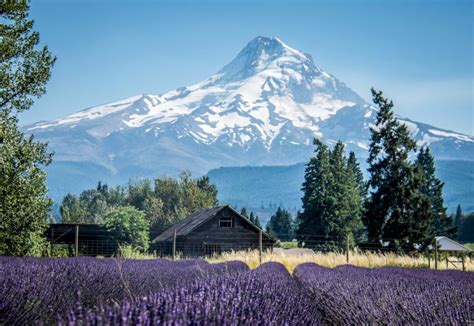 10 Most Beautiful Small Towns in Oregon You Must Visit | Attractions of America