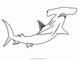 Big Head Hammerhead Shark Coloring Pages  XColoringscom sketch template
