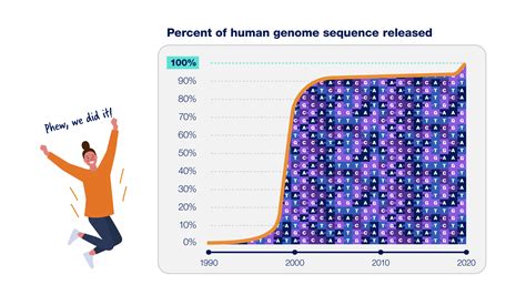 Completing the human genome sequence