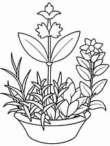 Garden Plants Coloring Vectors & Illustrations For Free Download  Freepik sketch template