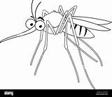 Cartoon mosquito Vector Black And White coloring Page Stock  sketch template