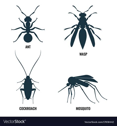 Ant and wasp cockroach and mosquito Royalty Free Vector