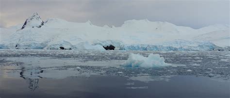 Cierva Cove – Antarctica