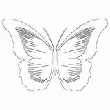4 Butterflies Coloring Page Get Inspired At Buddy sketch template
