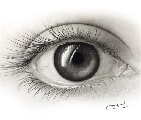 Black and Gray eye drawing by Ayman Arts | No. 210