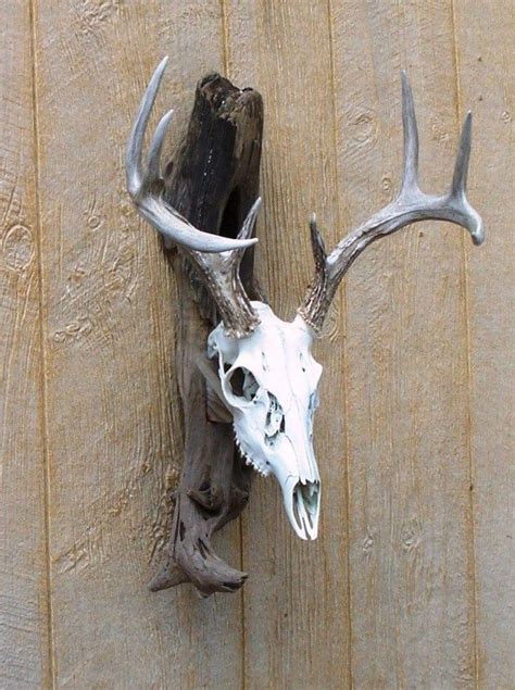 Interesting idea (w/ replica skull+antlers) - Driftwood Deer European Skull Mount Wall Pedestal ...