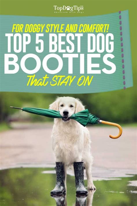 Top 6 Best Dog Booties for Dogs That Stay On (2024 Update)