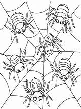 Spider Coloring Pages Widow Kids Printable Color Coloring4free Spin  sketch template