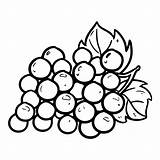 Grapes Coloring Pages  Best For Kids sketch template