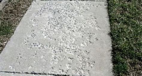 Best Sidewalk Salt for Slippery Winter Steps & Walks » The Money Pit