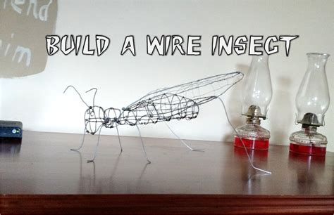 Build a Realistic Insect From Wire : 5 Steps (with Pictures ...