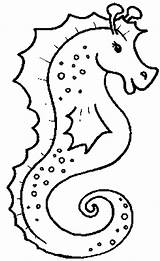 Water Animals Coloring Pages At GetColoringscom  Free Printable sketch template