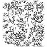 Discover Enchanting Floral Patterns Interactive Kids Line Art Coloring  sketch template