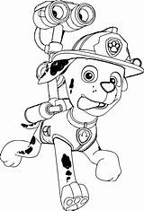 Paw Patrol Marshall Coloring Pages 20 Printable Sheets Simple To Draw  sketch template