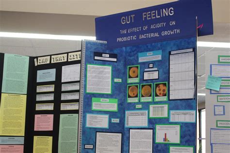 IB Biology students advance 31 projects to regional Science Fair ...