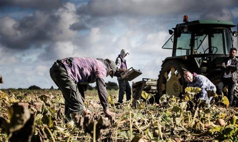 Report shines light on modern-day slavery in UK agricultural industry ...