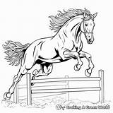 Horse Jumping Coloring Pages  Free & Printable sketch template