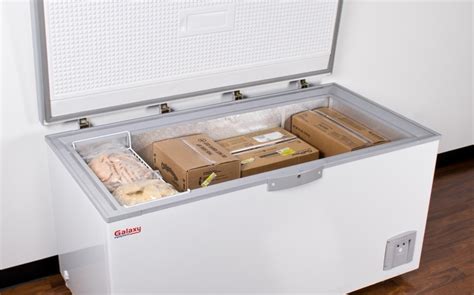 5 Best Chest Freezers Reviewed in 2023 | SKINGROOM