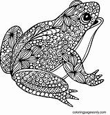80 Frog Coloring Pages  ColoringPagesOnlycom sketch template