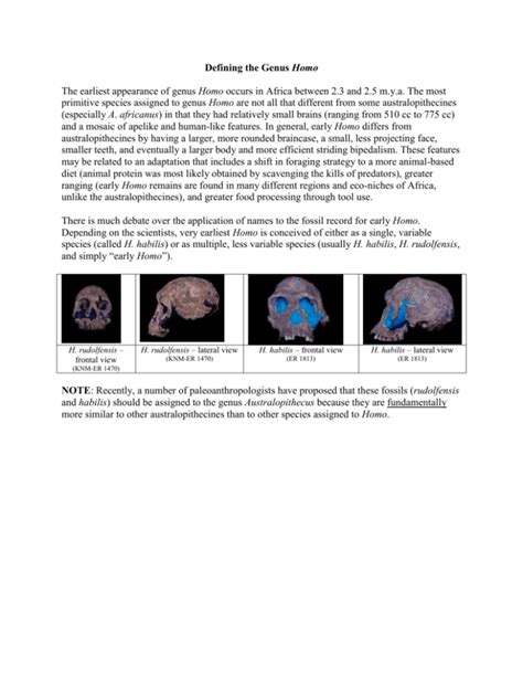 Defining the Genus Homo