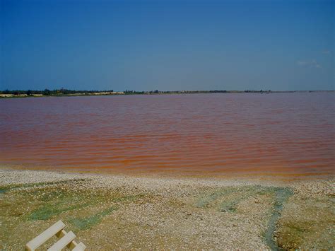 A unique pink lake in Senegal: Dakar Rose Lake | BOOMSbeat