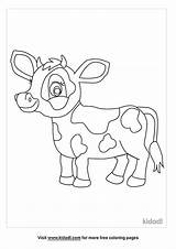 Baby Cow Coloring Page Free Animals  Home sketch template