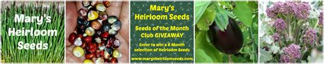 Why We Use Organic Heirloom Seeds | PreparednessMama