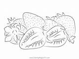 Strawberries Red Coloring Page For Kids  Free Strawberry Printable sketch template