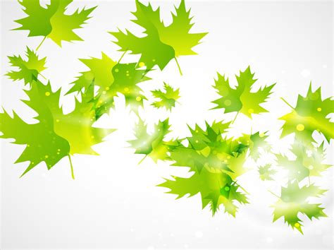 Free Maple Leaf Vector, Download Free Maple Leaf Vector png images ...