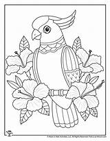 Tropical Coloring Pages For Adults sketch template
