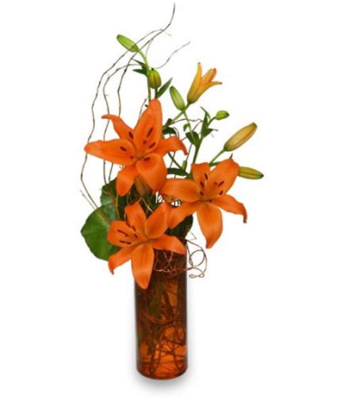 ORANGE YOU GREAT Flower Arrangement in Monument, CO - Enchanted Florist