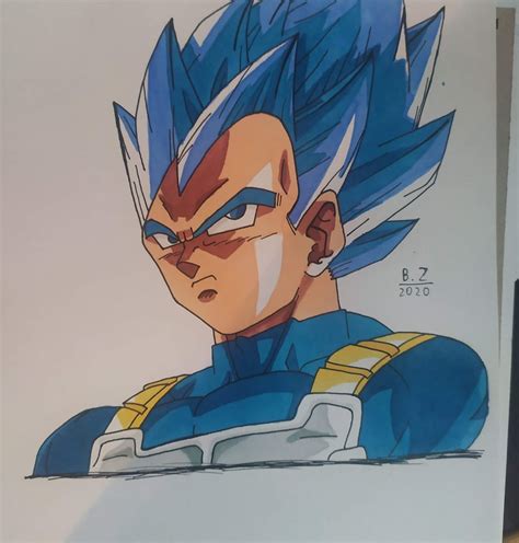 Vegeta SSJ Blue Drawing : dbz