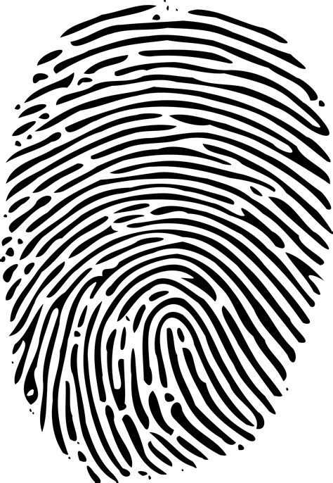 Fingerprint clipart thumb impression, Fingerprint thumb impression Transparent FREE for download ...