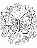 50 Butterfly Coloring Pages Free Printable Sheets sketch template