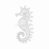 Zentangle Seahorse Stock Illustrations – 206  sketch template