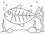 Easy How To Draw An X Ray Fish Tutorial And Coloring Page sketch template