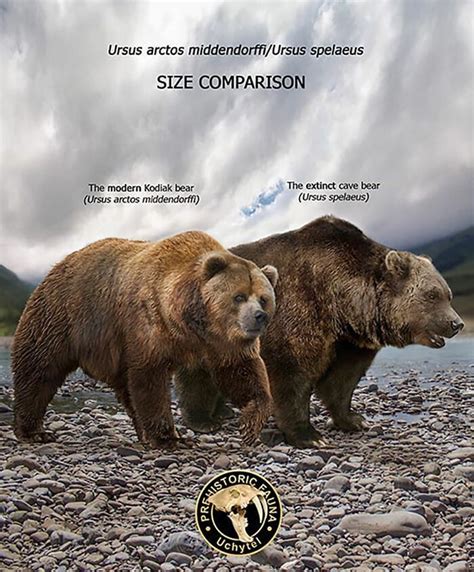 37 Comparisons Of The Sizes Of Prehistoric Animal Ancestors And Their ...