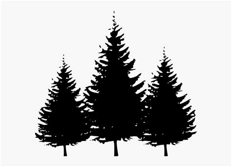 Silhouettes - Vector Pine Tree Silhouette, HD Png Download - kindpng