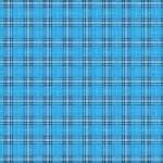 Checkered Tablecloth 2 Free Stock Photo - Public Domain Pictures