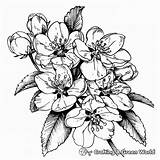Michigan Coloring Pages  Free & Printable sketch template